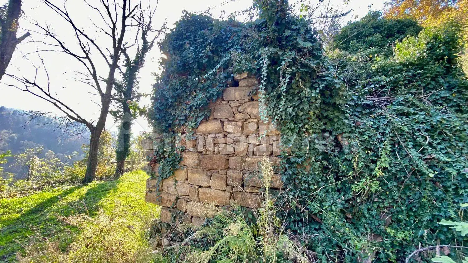 Rustico - Casale in vendita a Somano