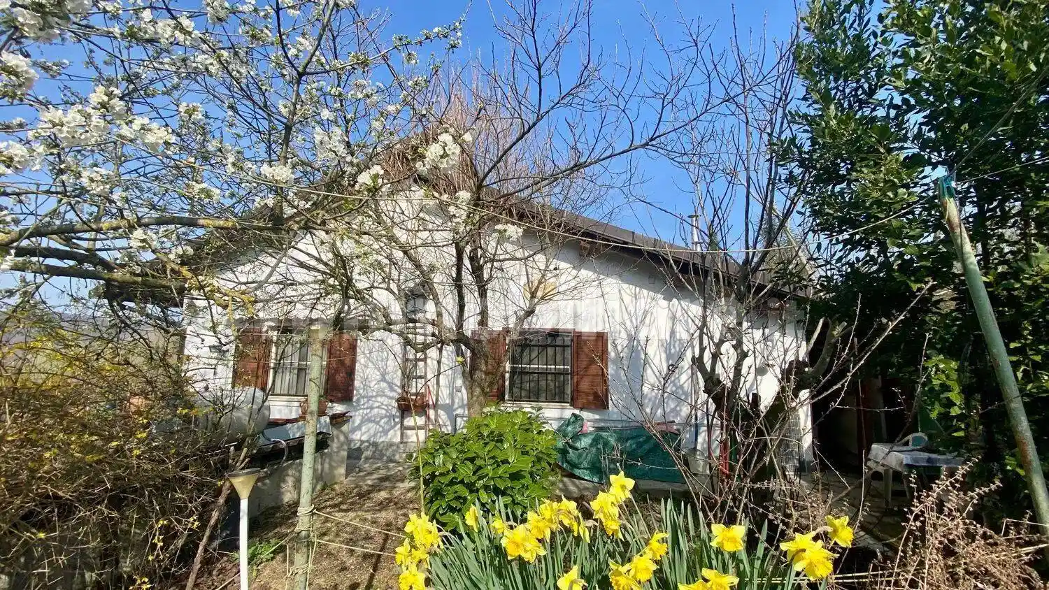 Villa unifamiliare frazione Poggi San Siro Costa 12, Poggi San Siro, Ceva - foto 5