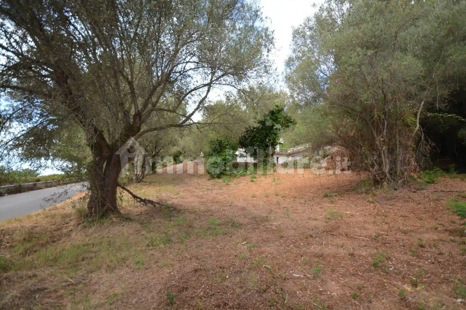 Villa unifamiliare Contrada Cocari 39, Vibo Valentia - foto 5