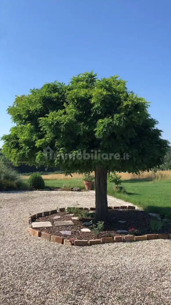 Appartamento in villa Località Giardini 79, I Giorgi, Castiglione del Lago - foto 3