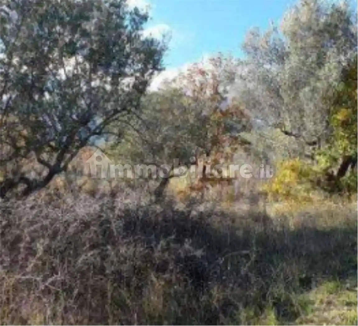 Appartamento all'asta frazione Fonterossi, snc, Lama dei Peligni - foto 3
