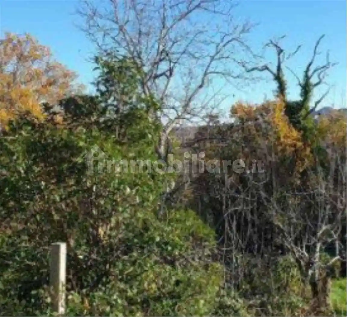 Appartamento all'asta frazione Fonterossi, snc, Lama dei Peligni - foto 4