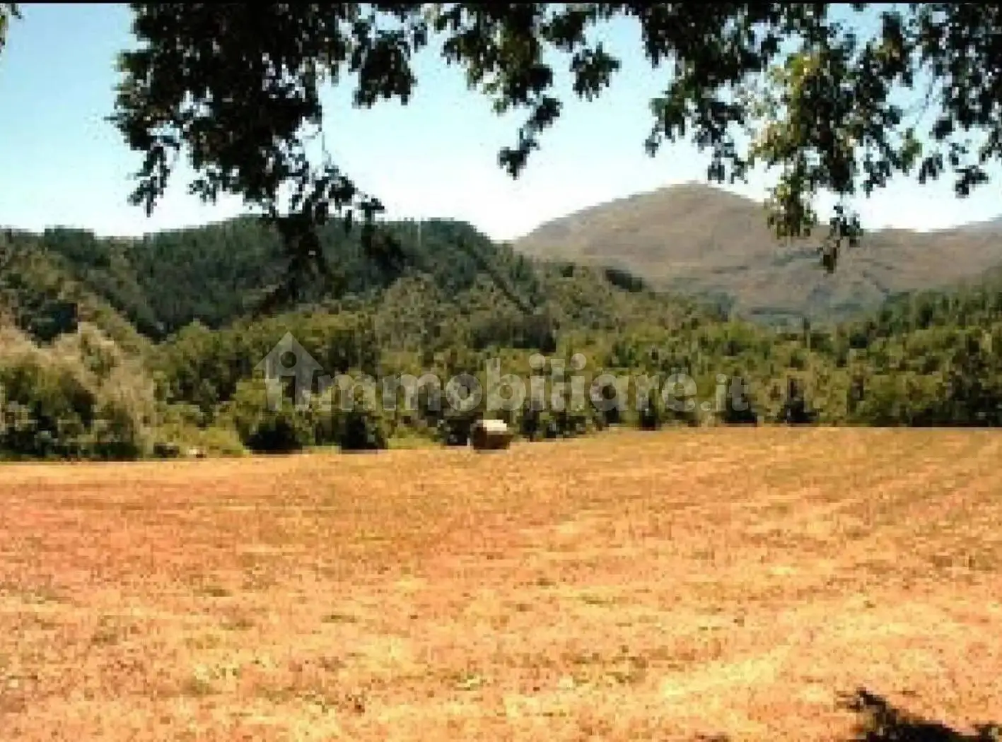 Rustico - Casale in vendita a San Romano in Garfagnana