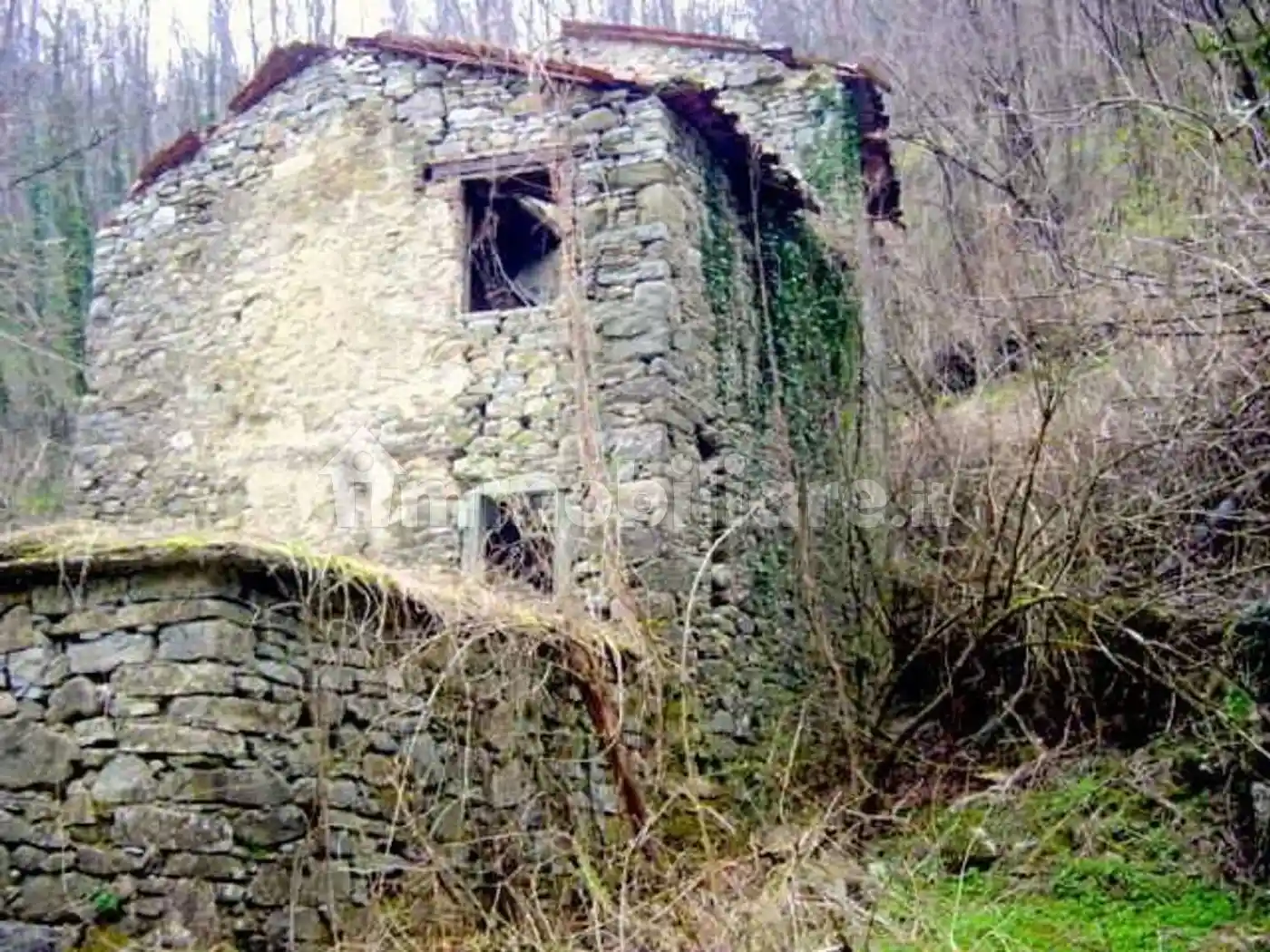 Rustico - Casale in vendita a Fosciandora