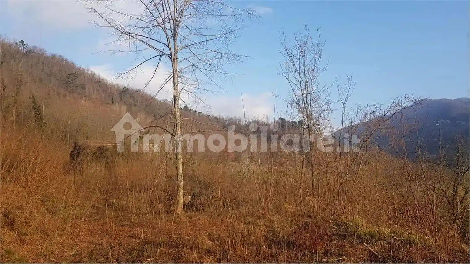 Rustico - Casale in vendita a Gallicano