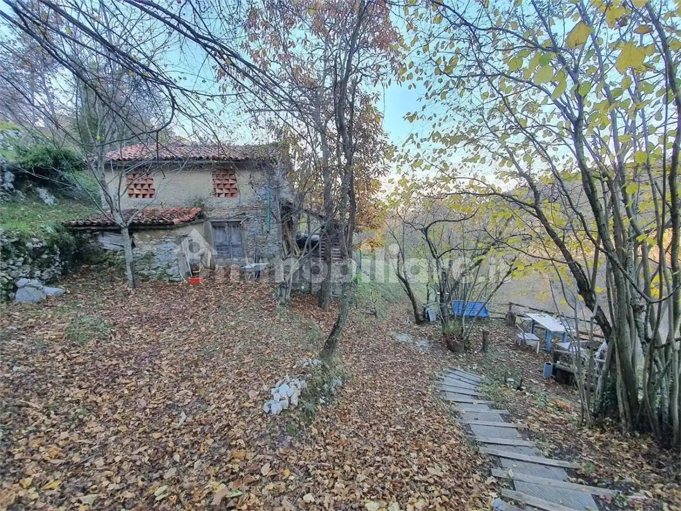 Rustico - Casale in vendita a Molazzana