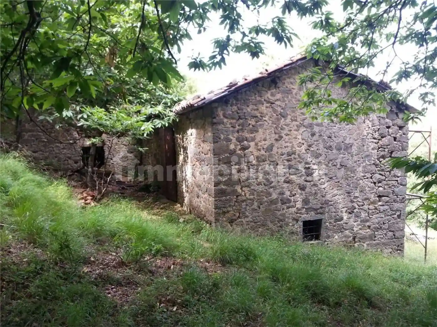 Rustico - Casale in vendita a Pieve Fosciana
