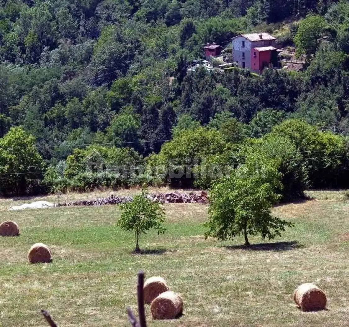 Villa in affitto a Villa Collemandina