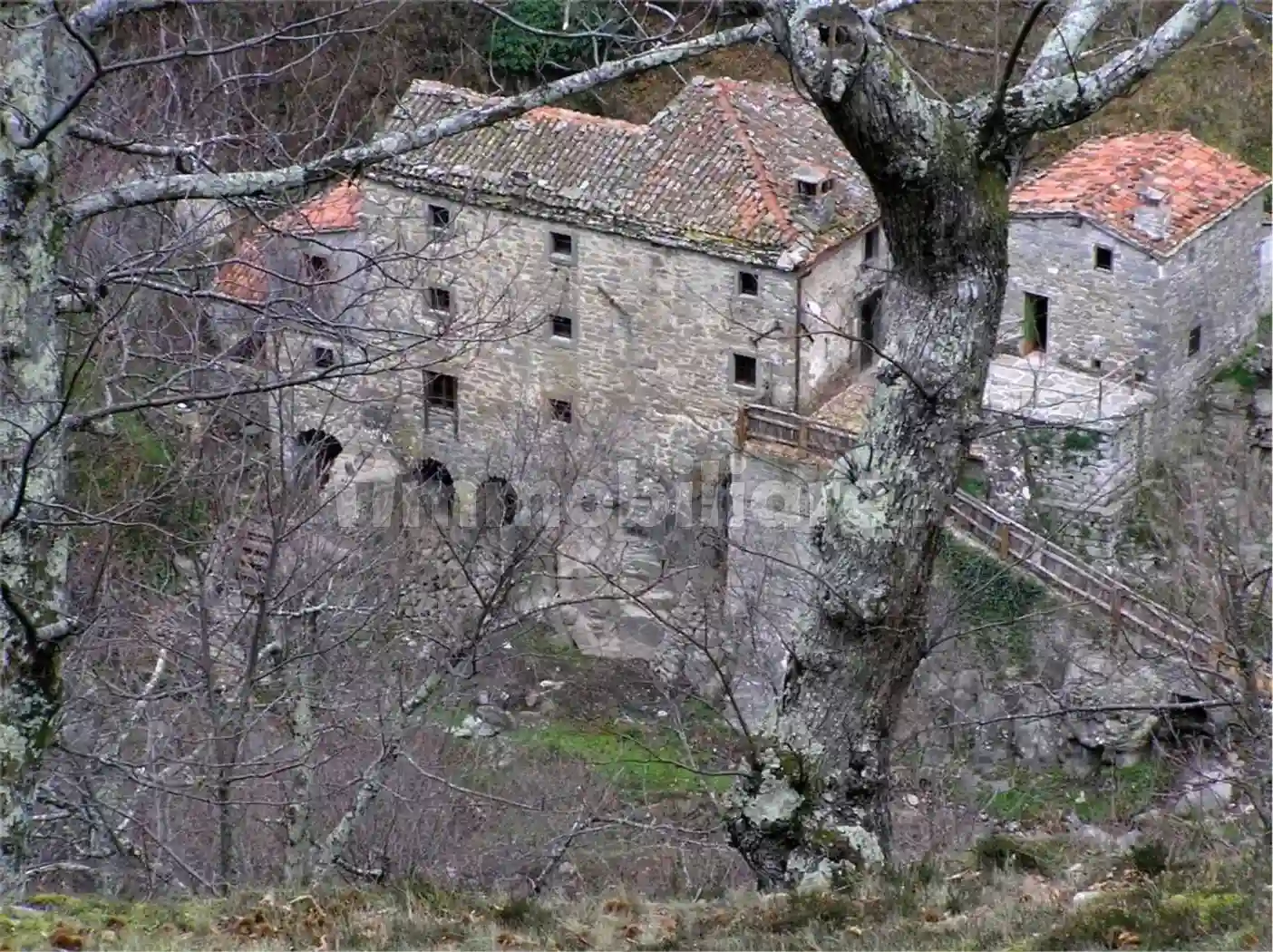 Rustico - Casale - foto 3