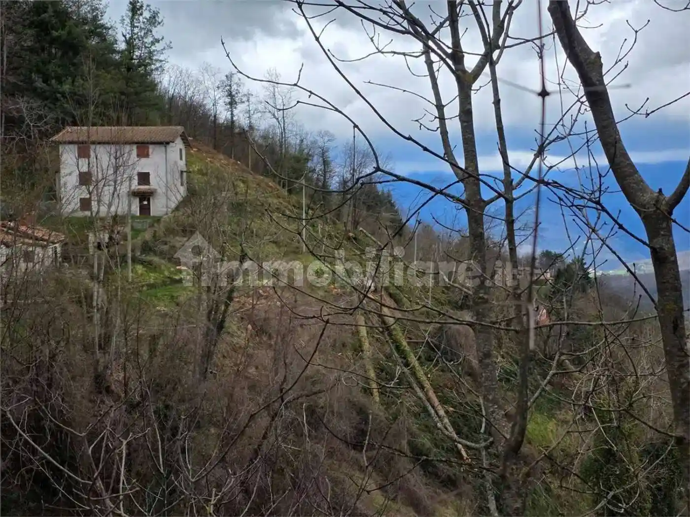 Rustico - Casale in vendita a Molazzana