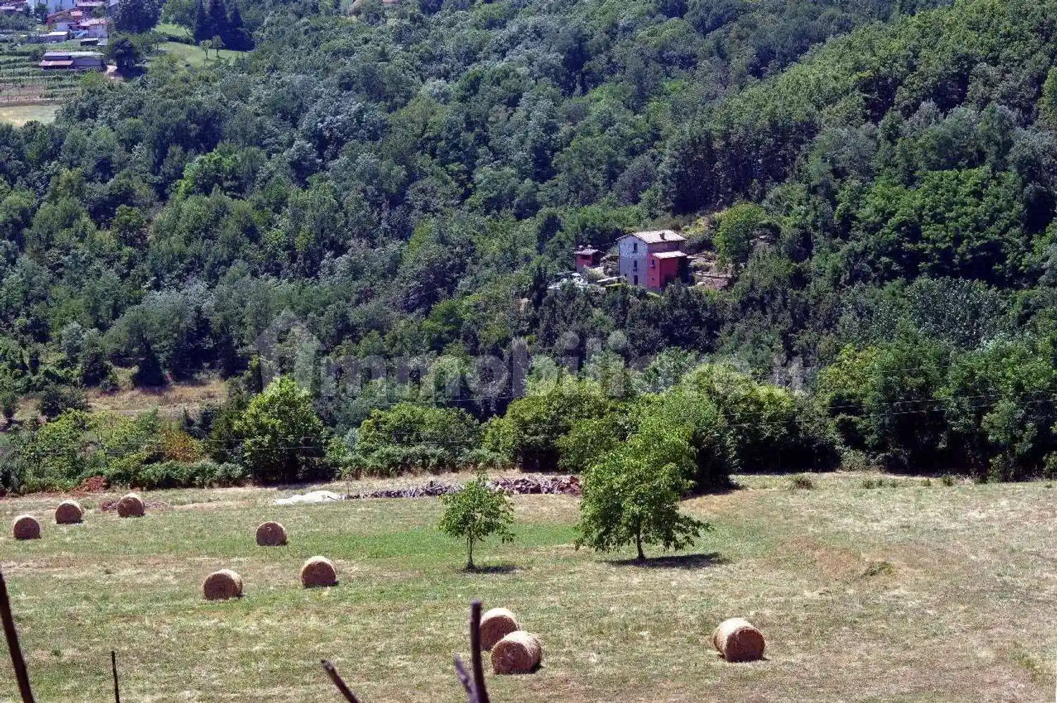 Cascina Località Casetta, Villa Collemandina - foto 2