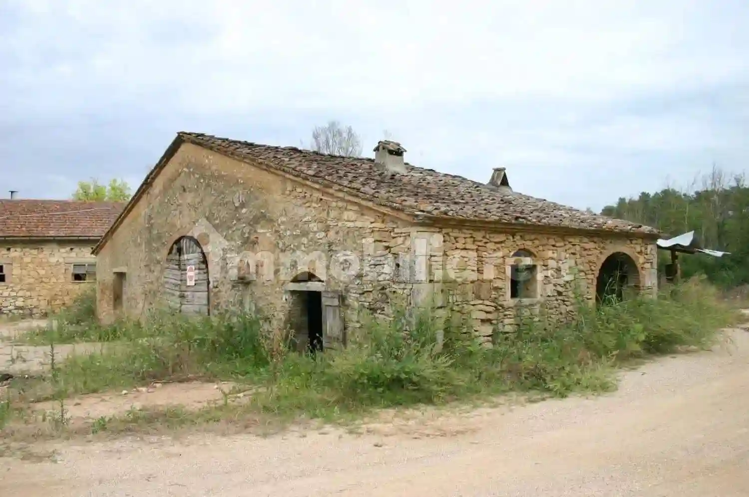 Rustico - Casale - foto 5