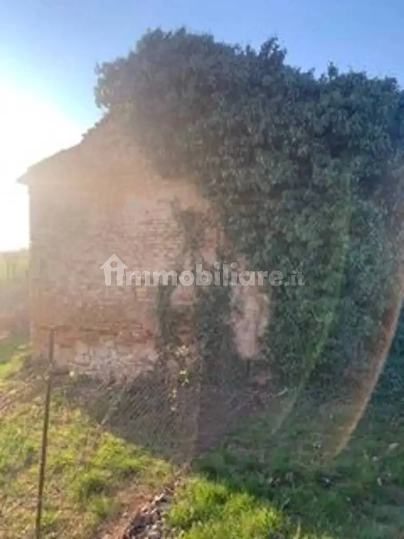 Rustico - Casale in vendita a Pressana