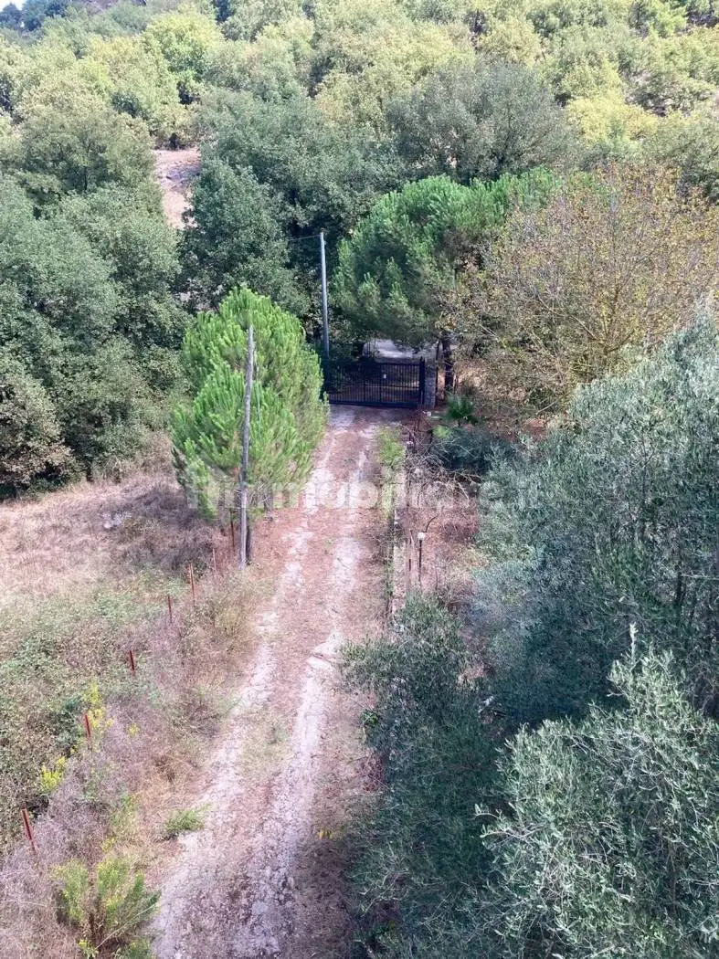 Villa unifamiliare via Rebuttone, 155, Altofonte - foto 2