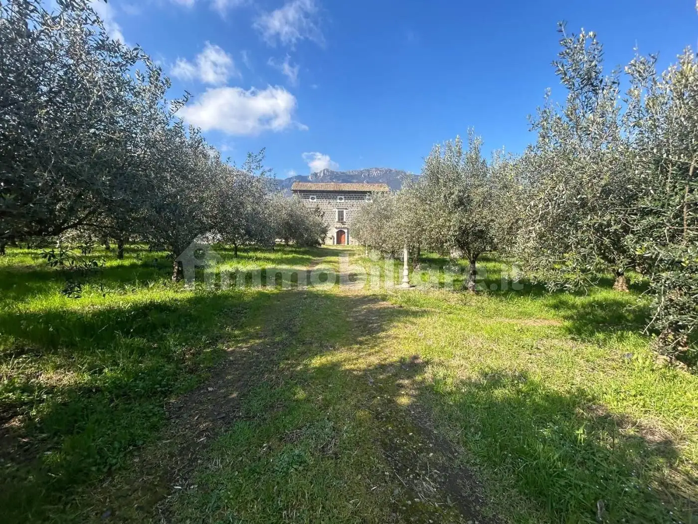 Appartamento in vendita a Mignano Monte Lungo
