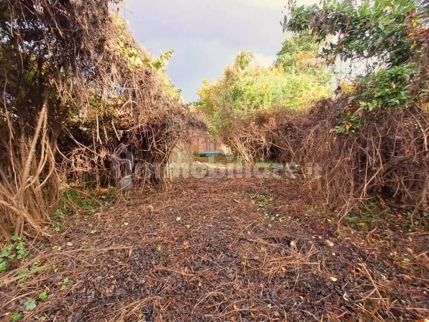 Cascina, da ristrutturare, 250 m², Centro, Capannori - foto 3