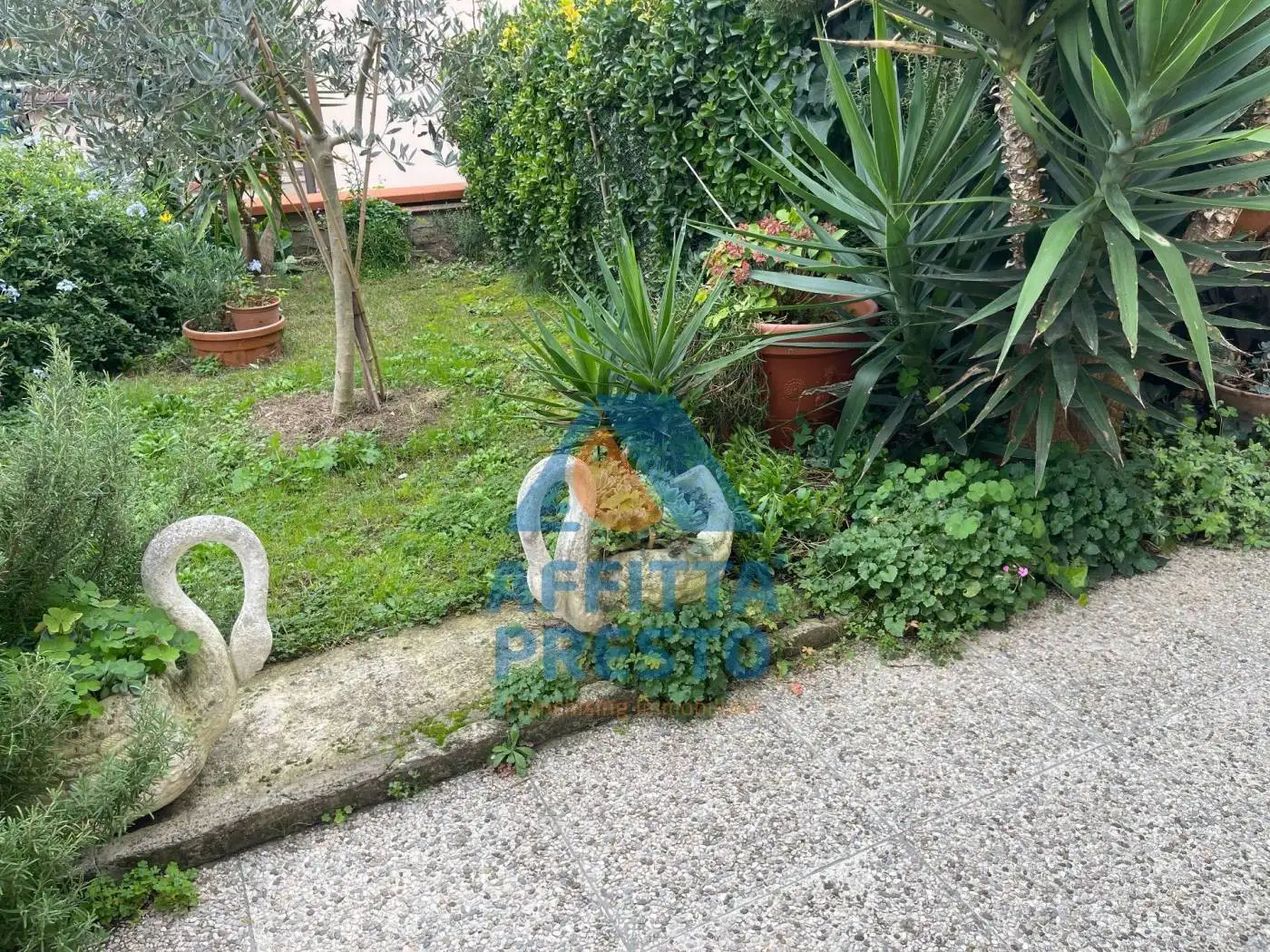 Appartamento ottimo stato, piano rialzato, San Miniato - foto 3