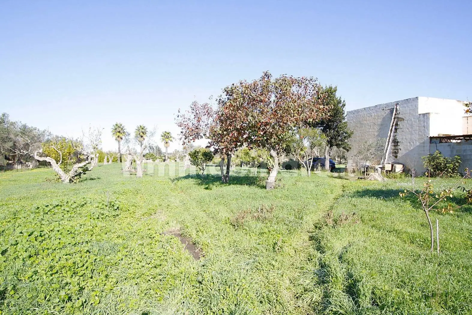 Rustico - Casale in vendita a Parabita