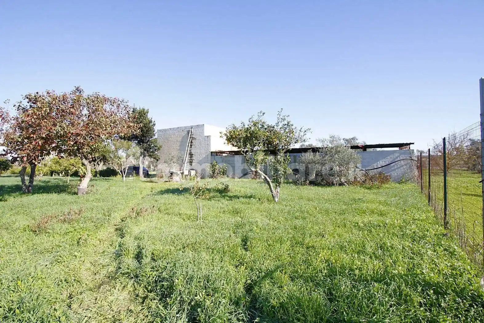 Casale Strada Vicinale Monaci, Parabita - foto 2