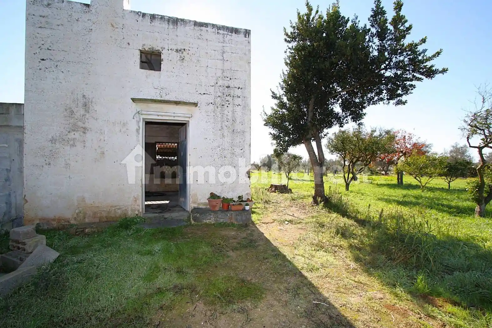 Casale Strada Vicinale Monaci, Parabita - foto 4