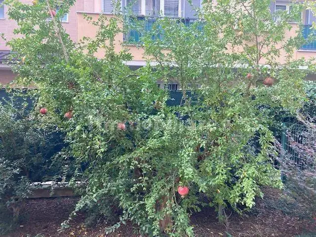 Appartamento in affitto a Cernusco sul Naviglio