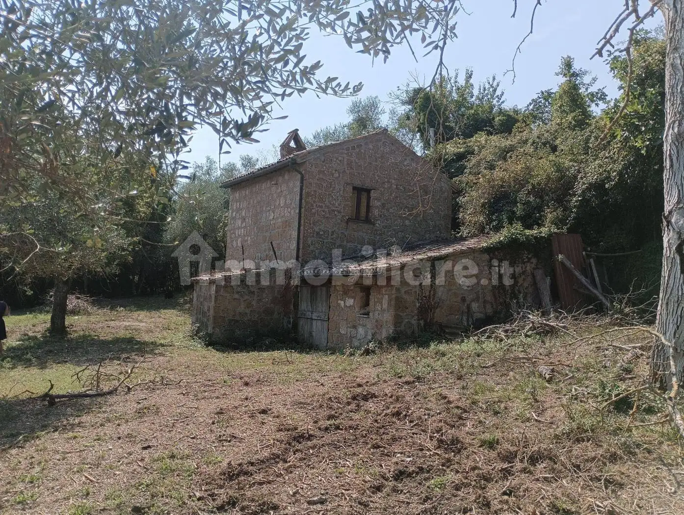 Rustico - Casale in vendita a Bagnoregio