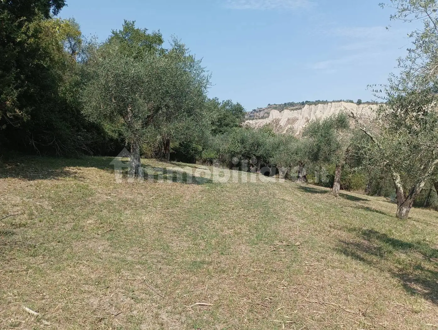 Rustico Strada Provinciale Valle di Bagnoregio, Bagnoregio - foto 2