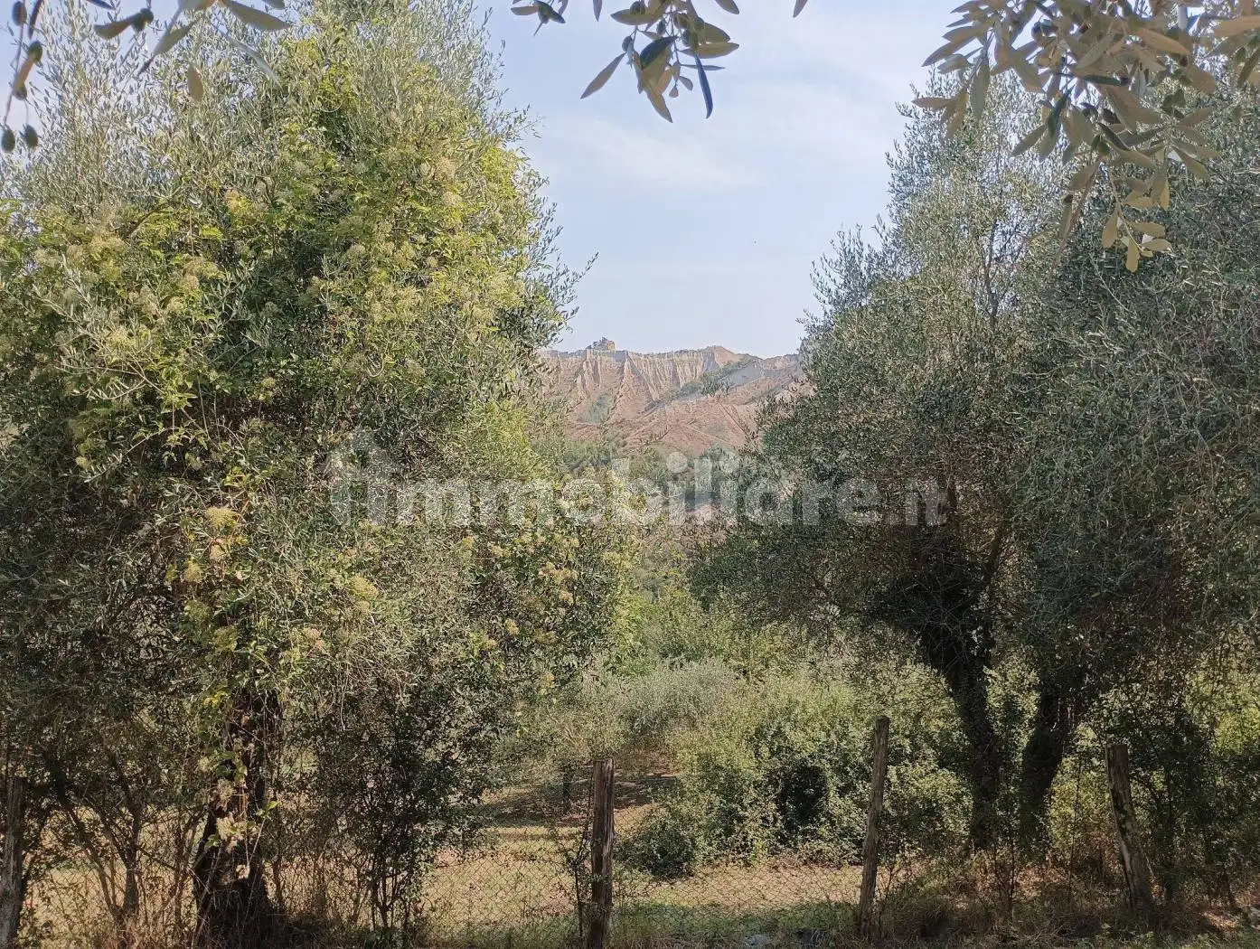 Rustico Strada Provinciale Valle di Bagnoregio, Bagnoregio - foto 3