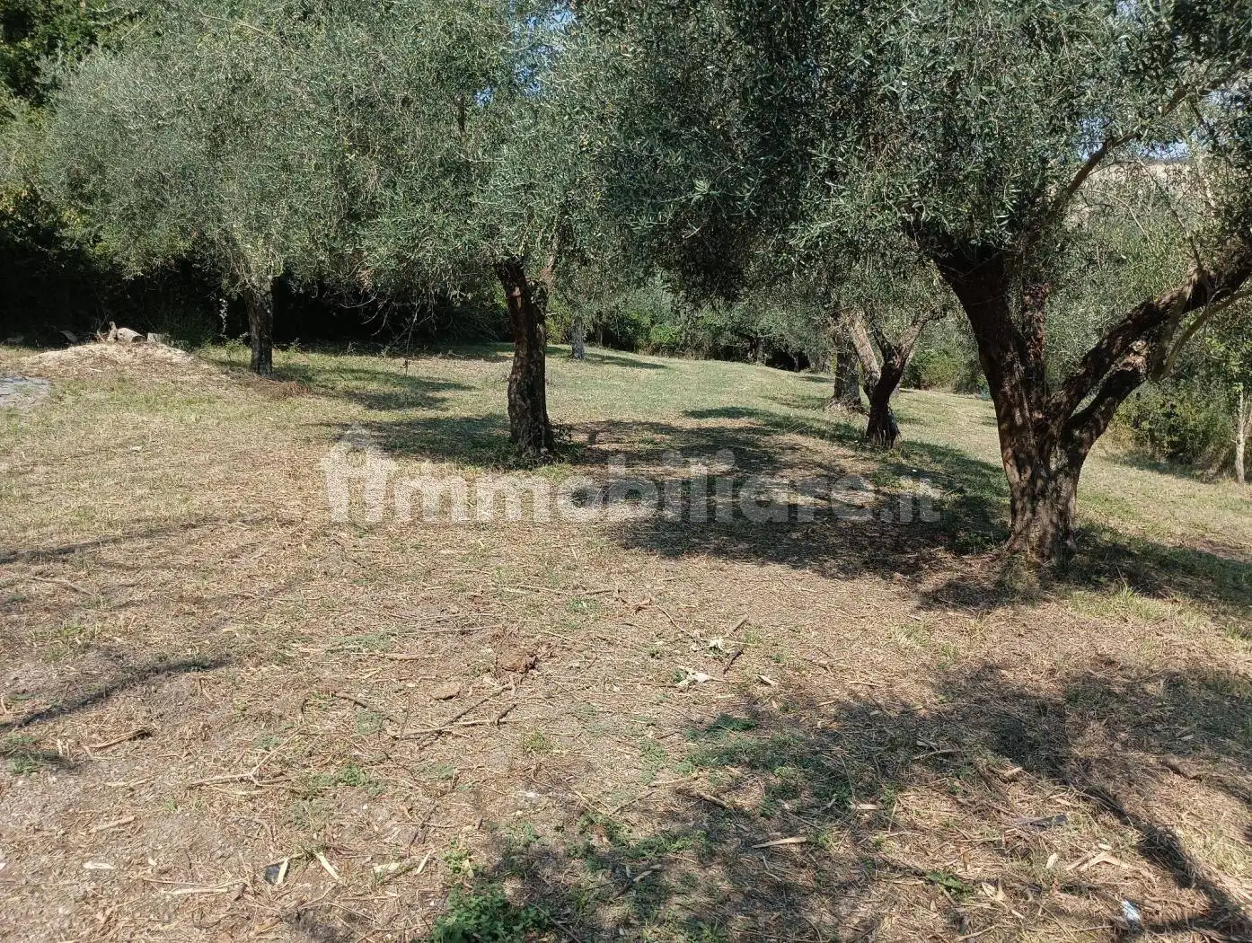 Rustico Strada Provinciale Valle di Bagnoregio, Bagnoregio - foto 4