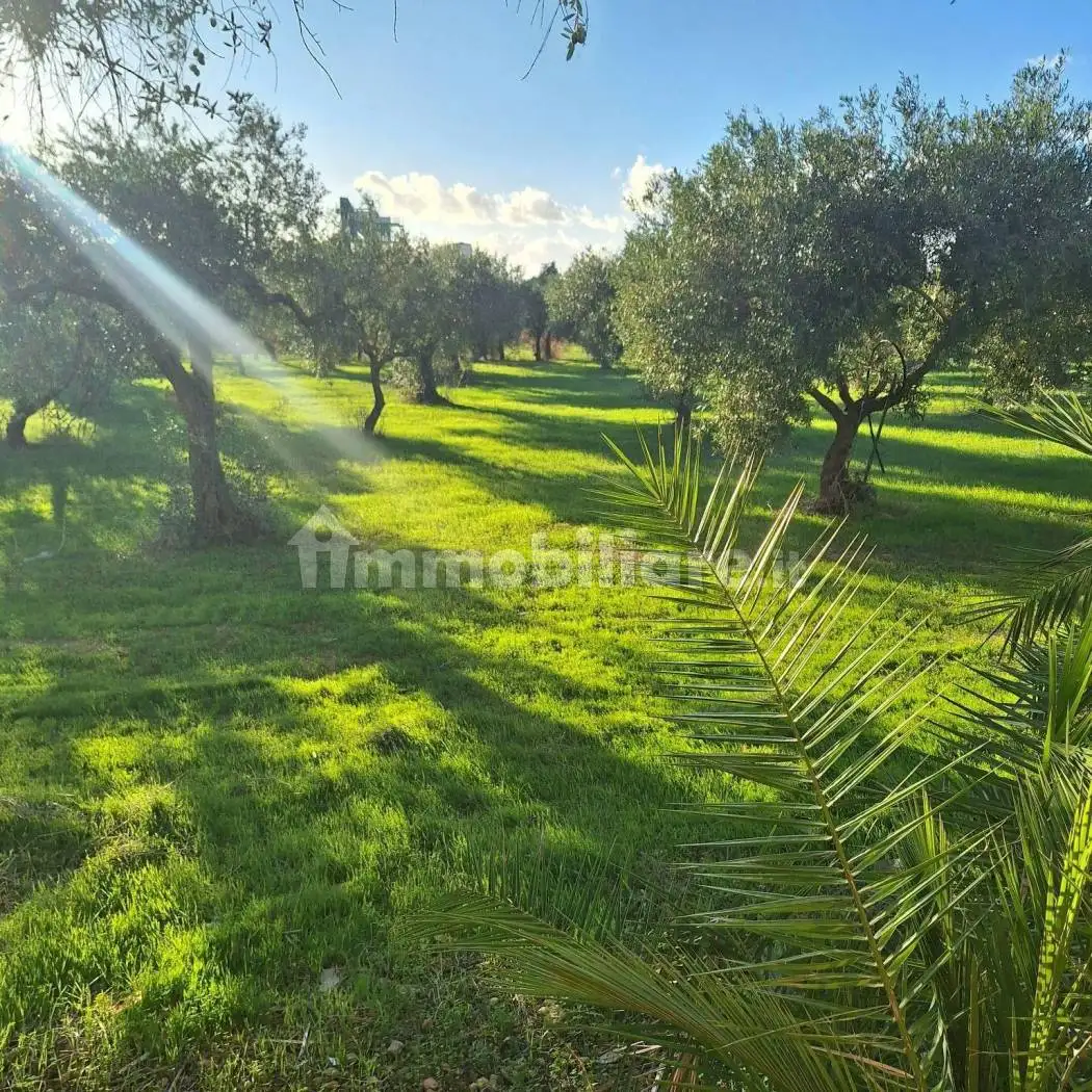 Villa in vendita a Mazara del Vallo