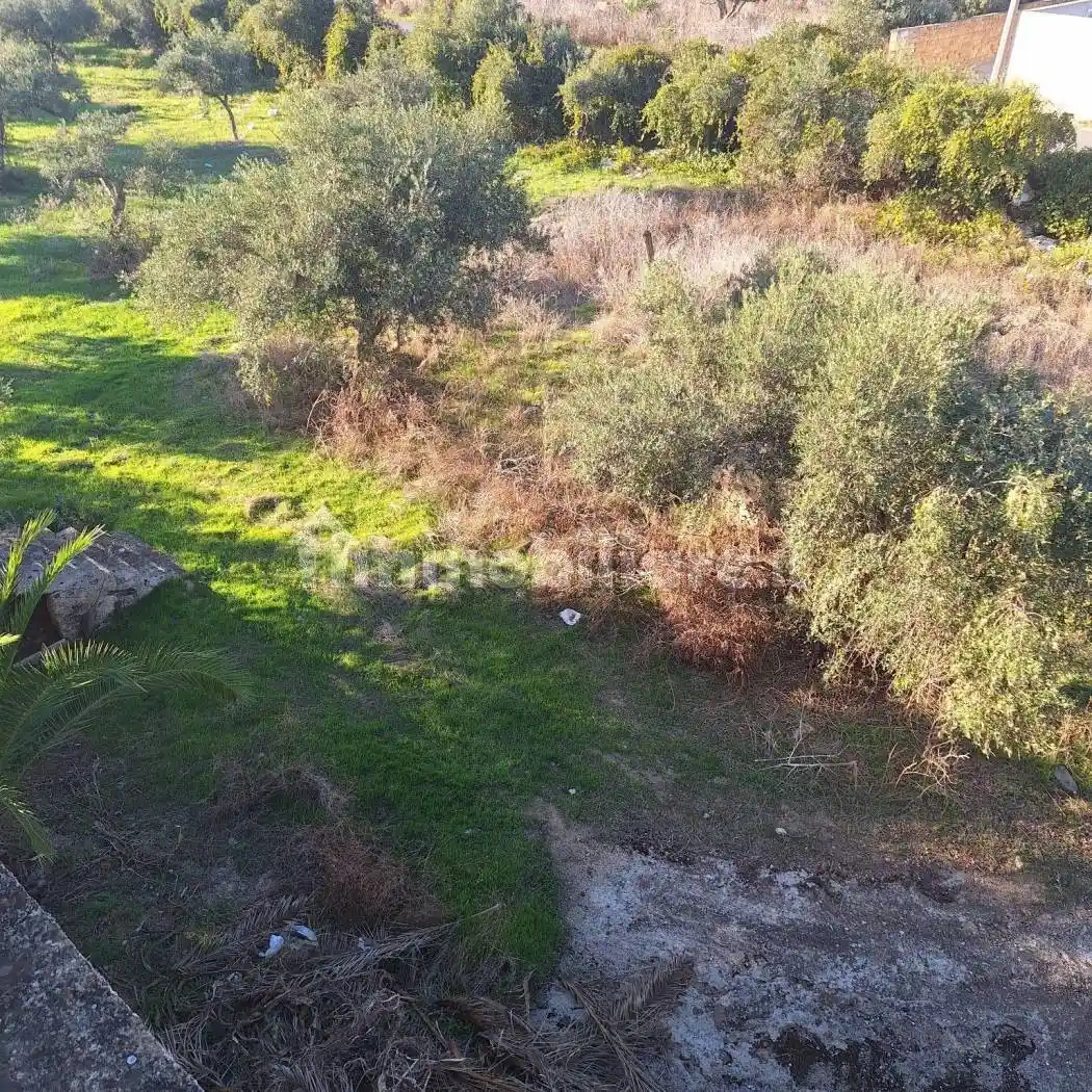 Villa unifamiliare Strada Statale Sud Occidentale Sicula, Santa Maria di Gesù, Mazara del Vallo - foto 3
