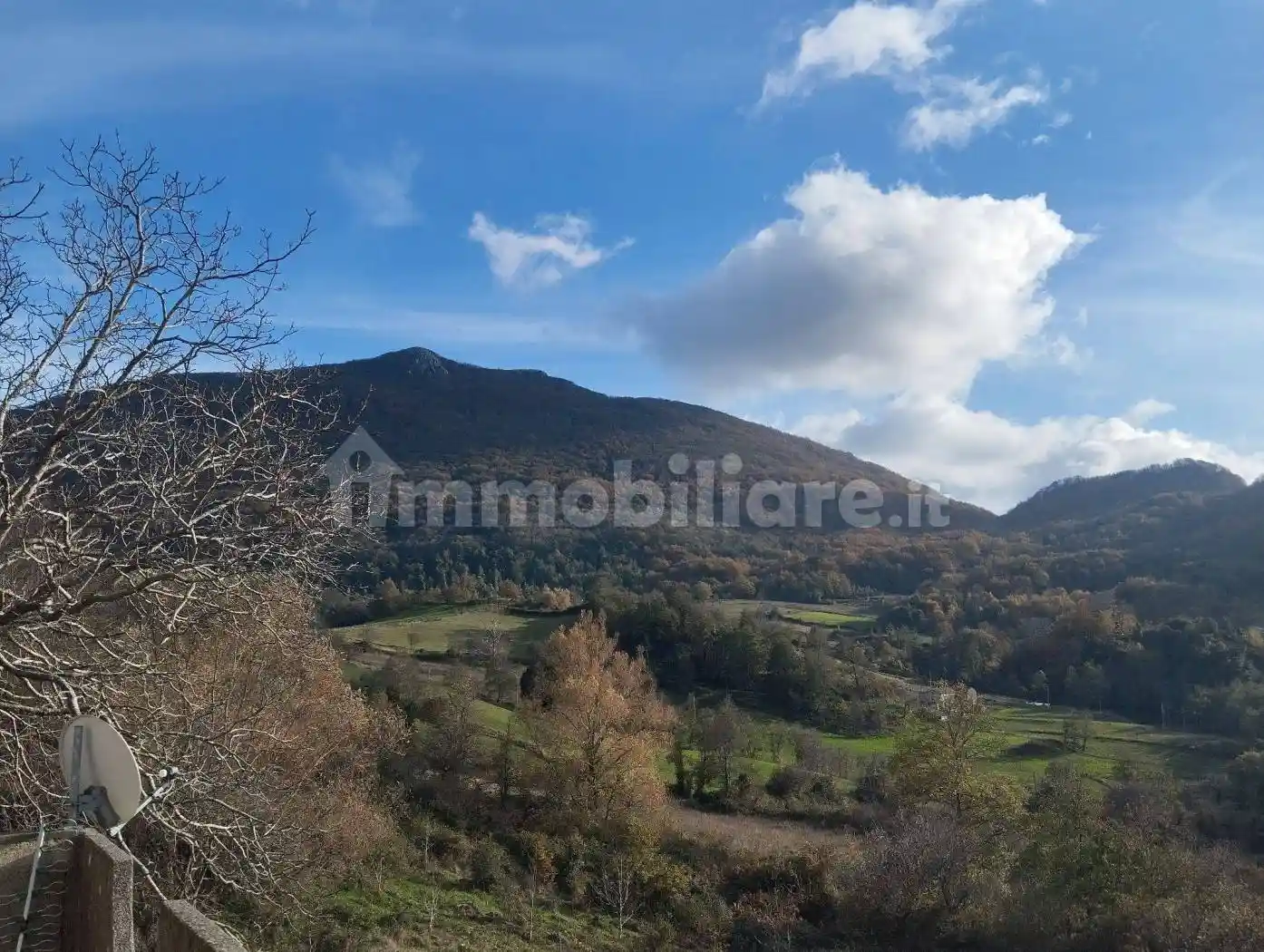 Palazzo - Edificio - foto 2