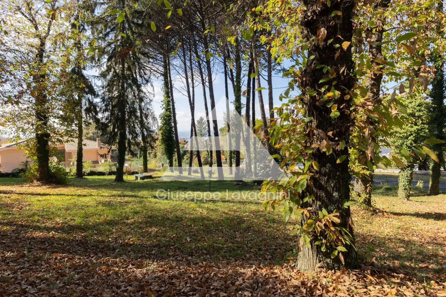 Villa unifamiliare viale dei Lauri, 25, Centro, Ariccia - foto 5