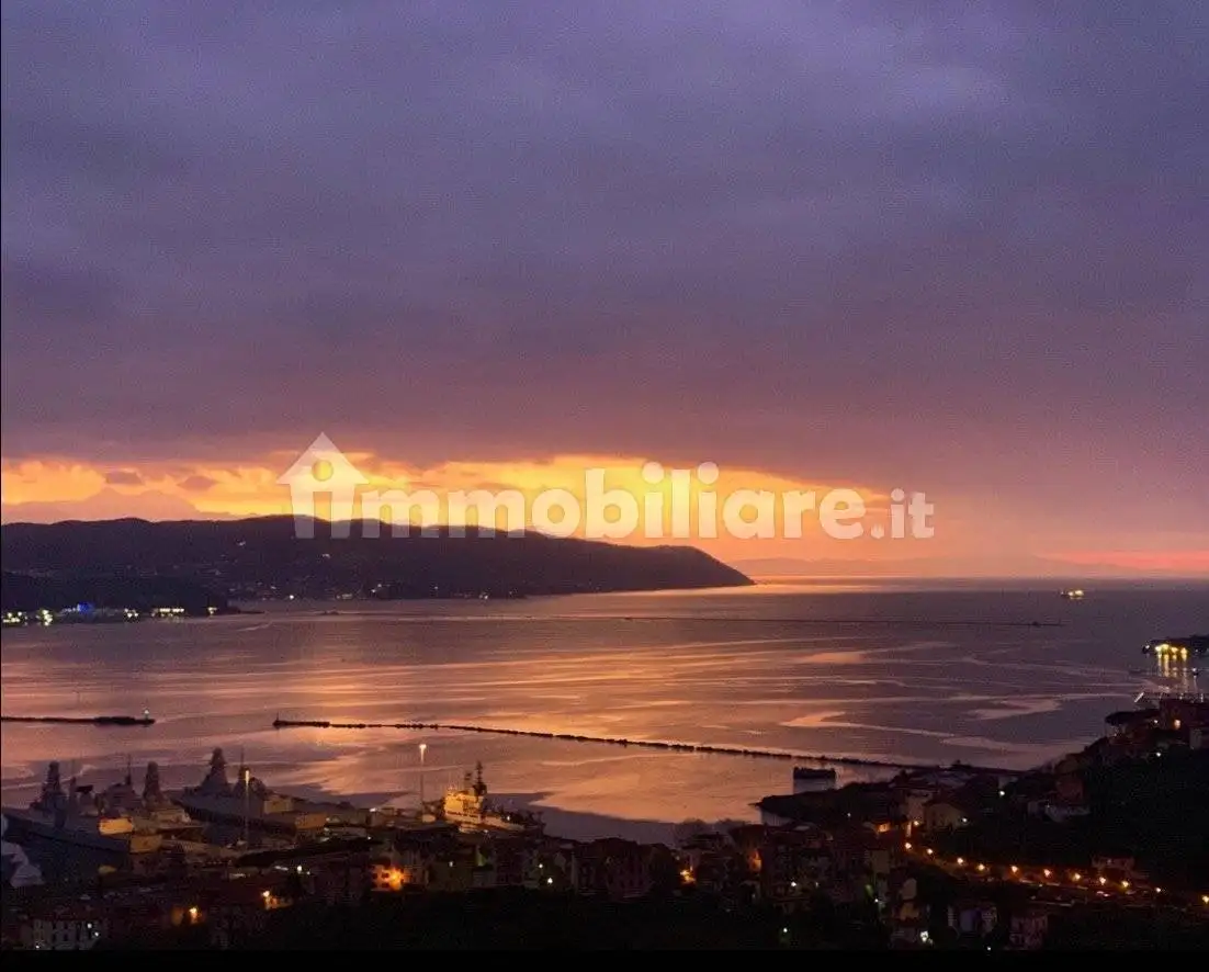 Attico - Mansarda in affitto a La Spezia