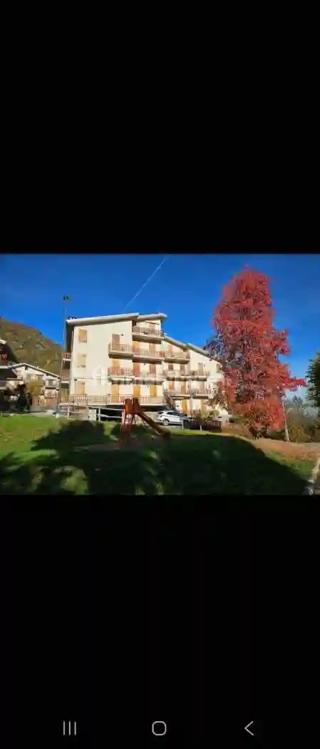 Appartamento via Rialdo 4, Centro, Viola - foto 4