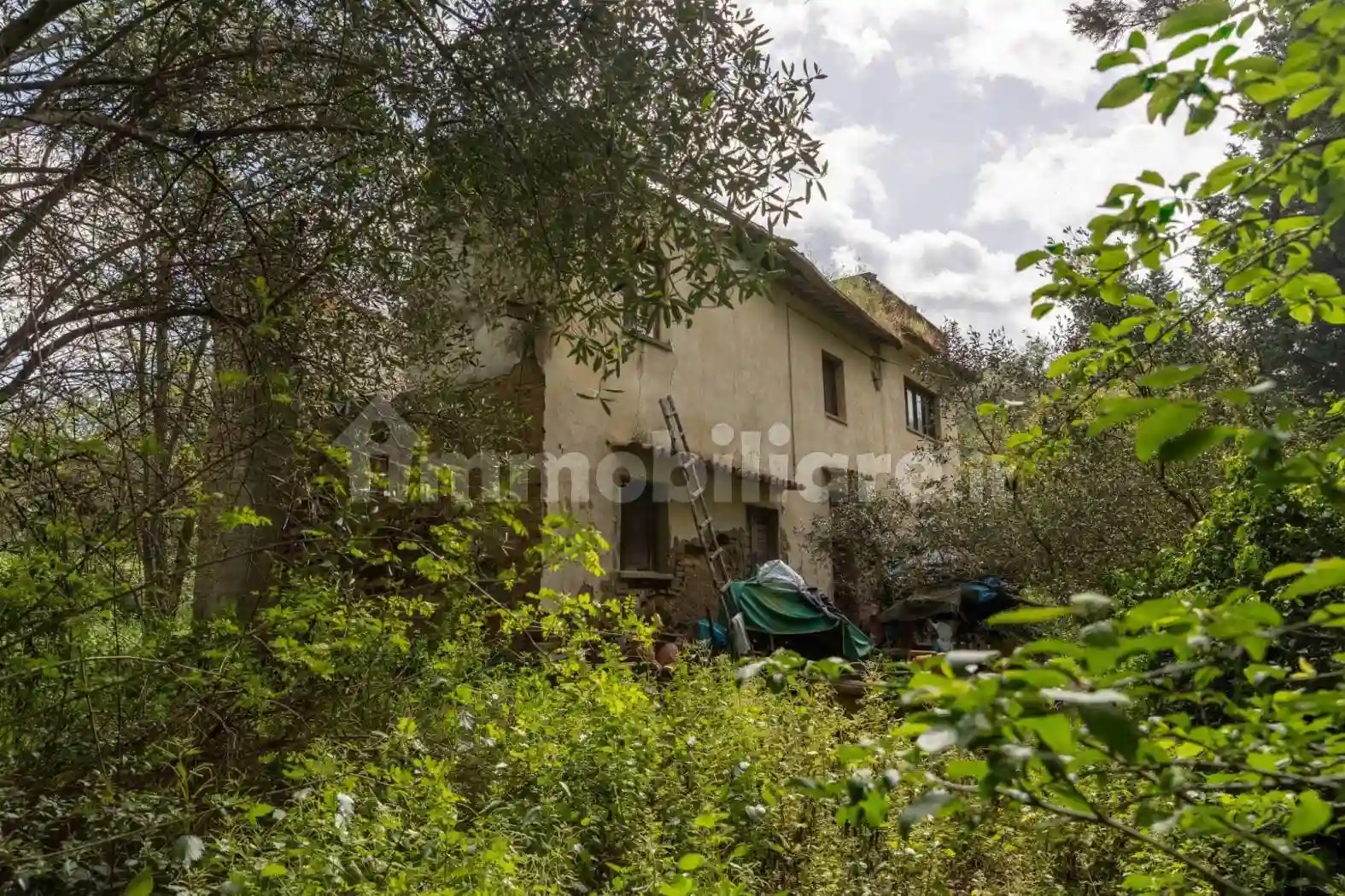 Rustico - Casale - foto 4