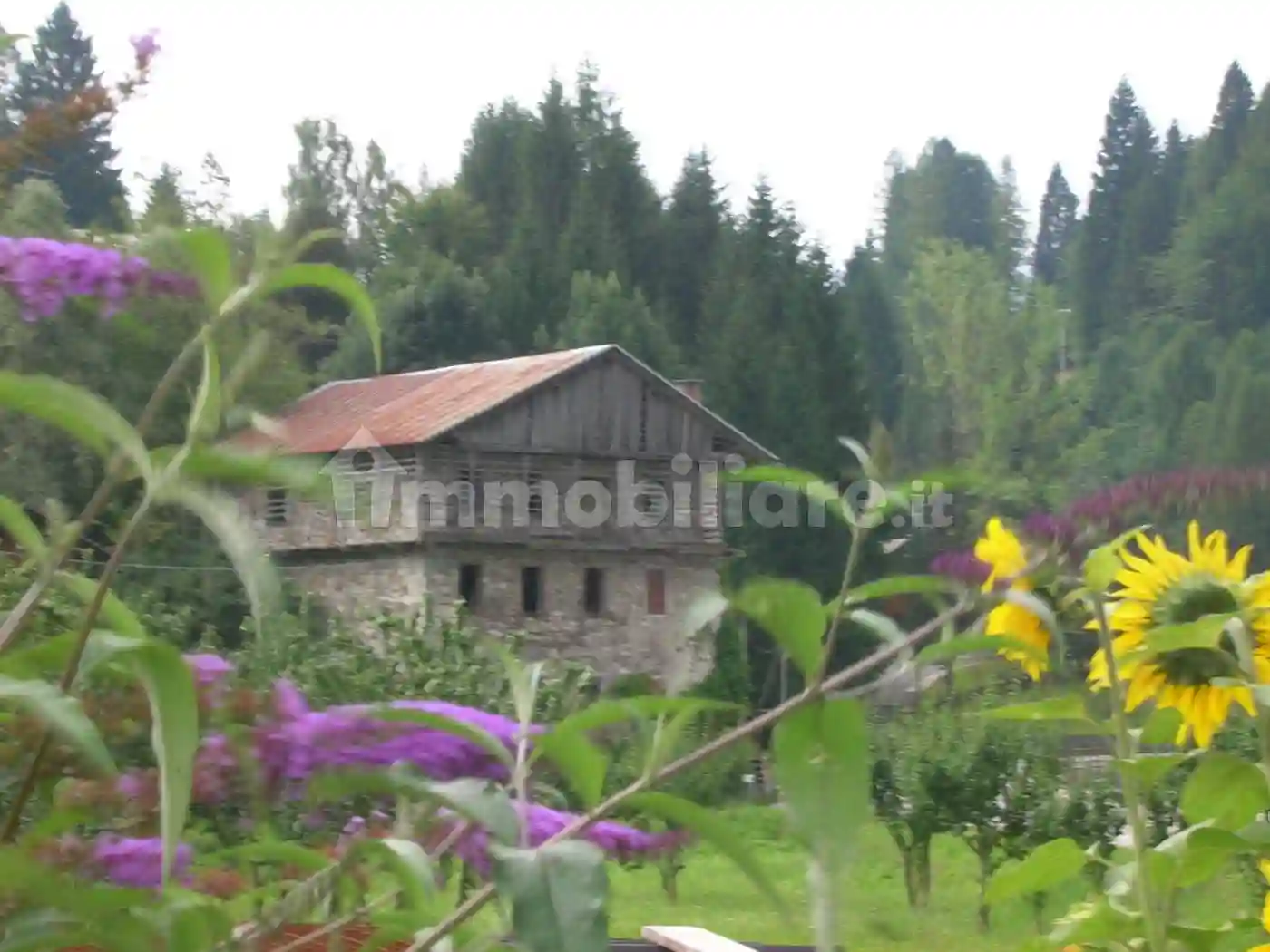 Rustico - Casale - foto 4