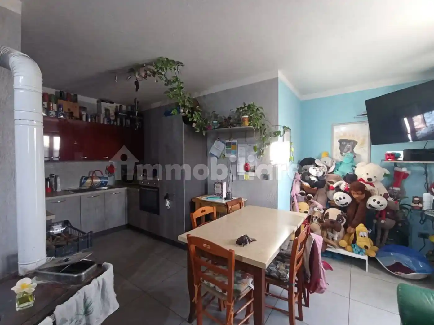 Villa bifamiliare via Motta, Castelletto Stura - foto 3