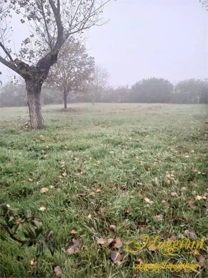 Villa unifamiliare, buono stato, 200 m², San Prospero, Parma - foto 4