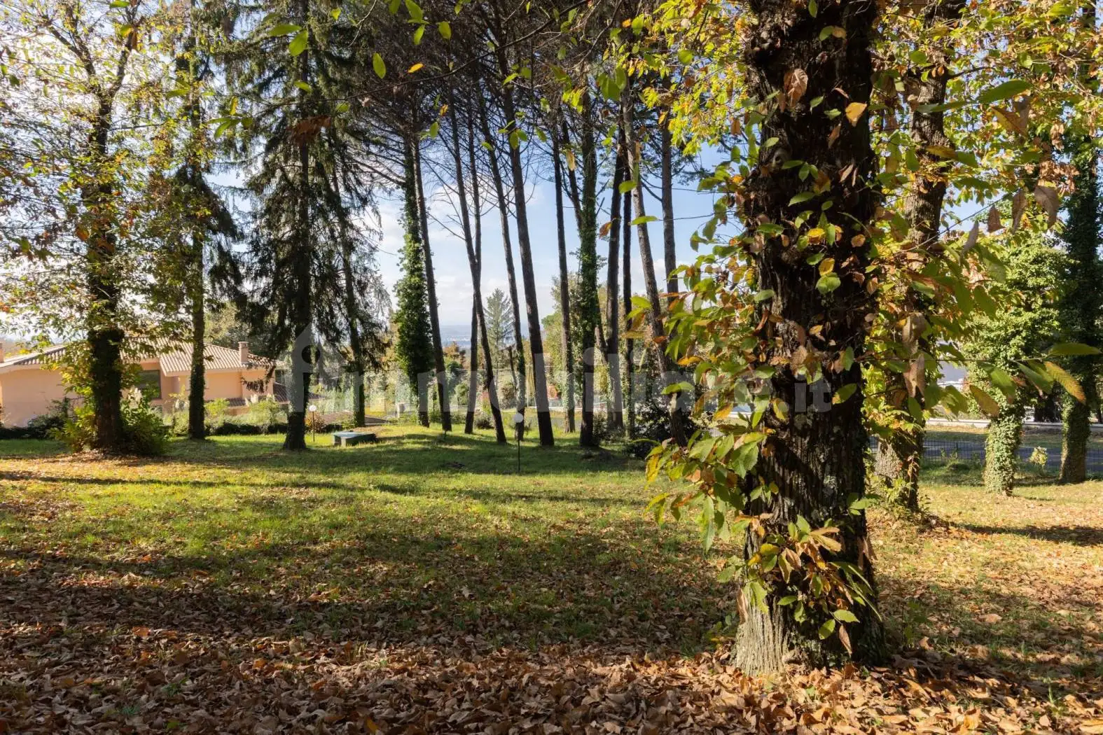 Villa unifamiliare via dei Lauri 25, Centro, Ariccia - foto 5