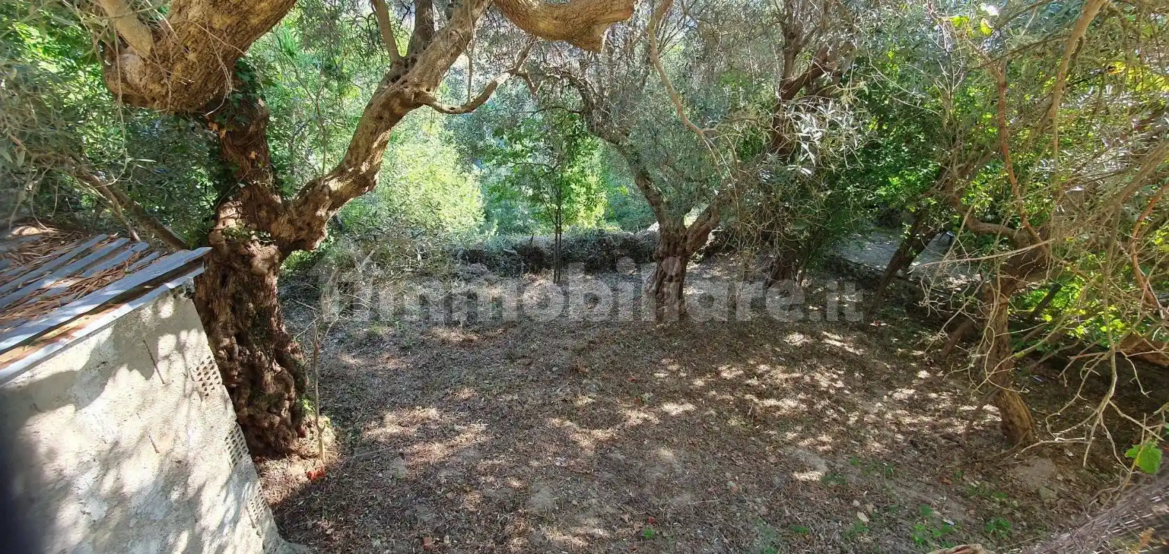 Rustico via Zavarrone 11, Centro, Montalto Uffugo - foto 2