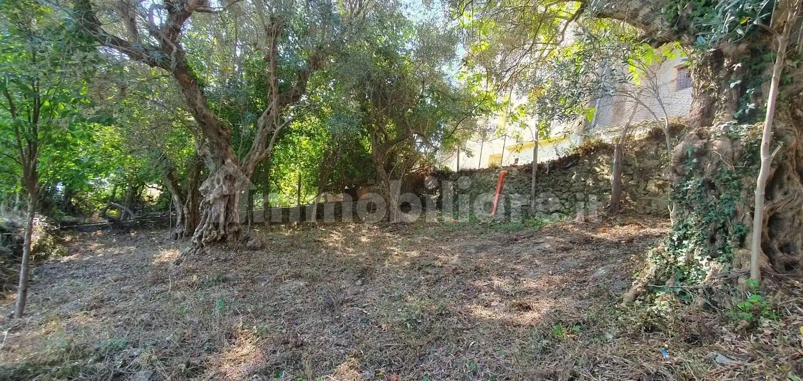 Rustico via Zavarrone 11, Centro, Montalto Uffugo - foto 3