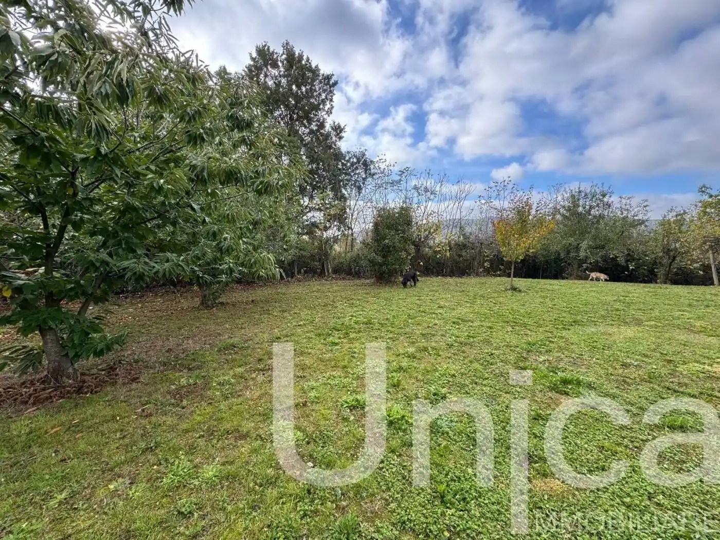 Terratetto unifamiliare via Sezze, Centro, Bassiano - foto 4