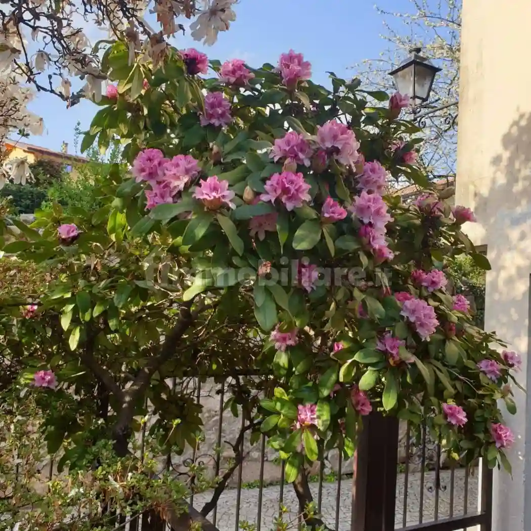 Trilocale via Goffredo Mameli 39, Feriolo, Baveno - foto 4