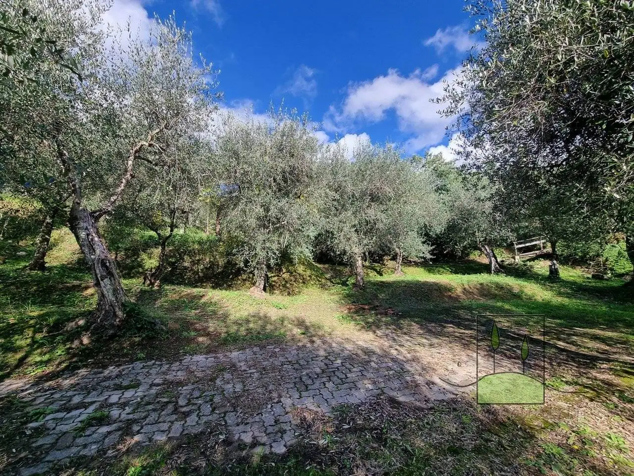 Rustico via di San Pietro, Calci - foto 3