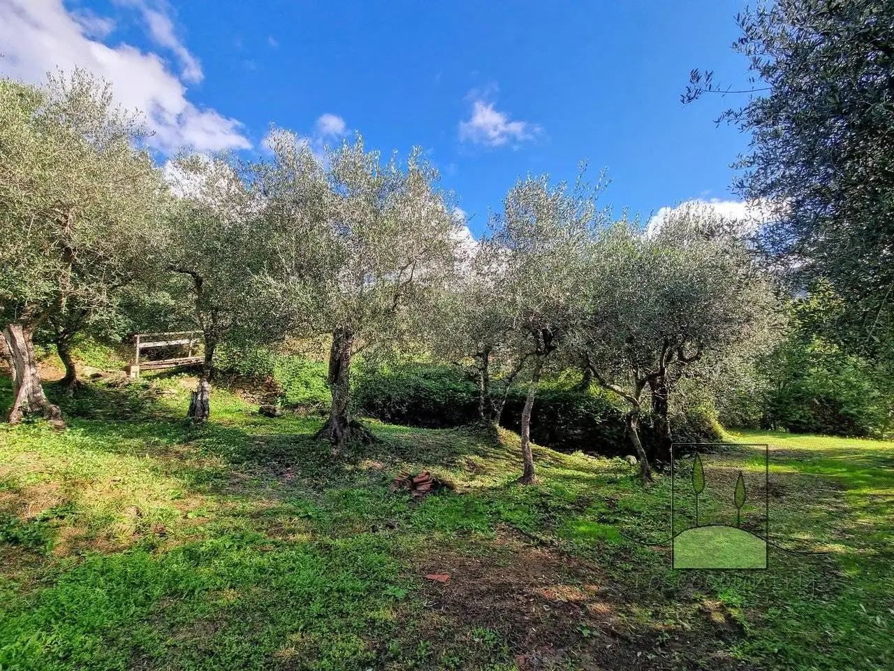 Rustico via di San Pietro, Calci - foto 4