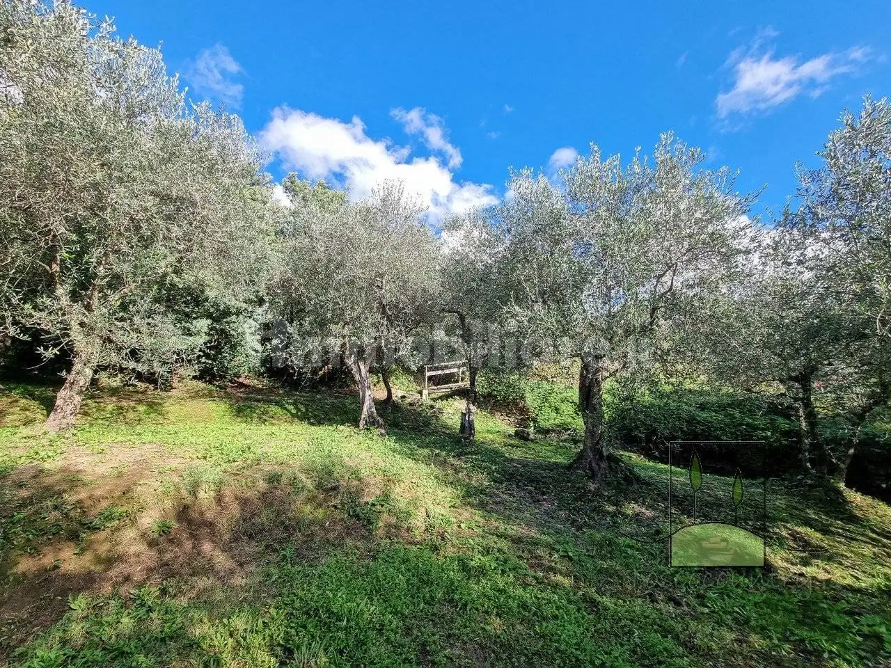 Rustico via di San Pietro, Calci - foto 5