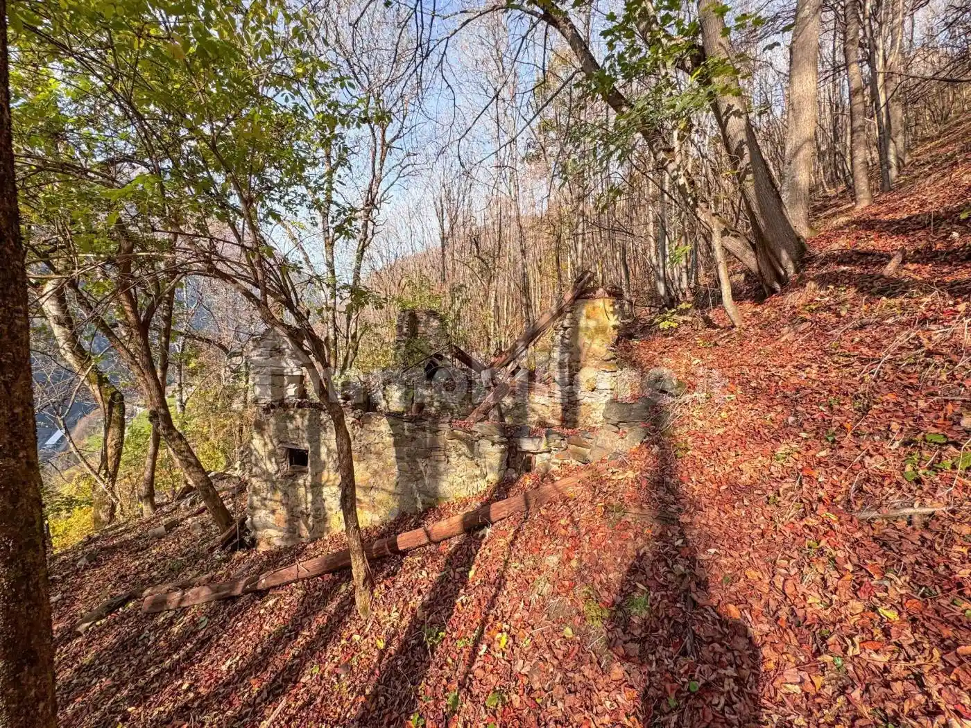 Rustico - Casale in vendita a Rabbi