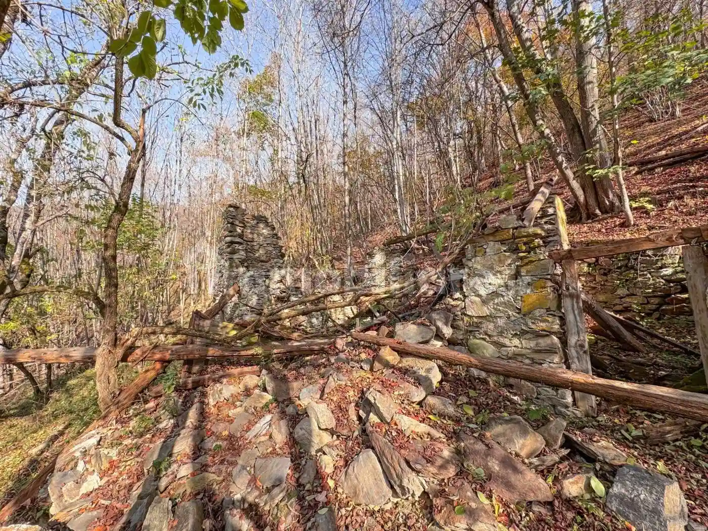 Rustico - Casale - foto 3