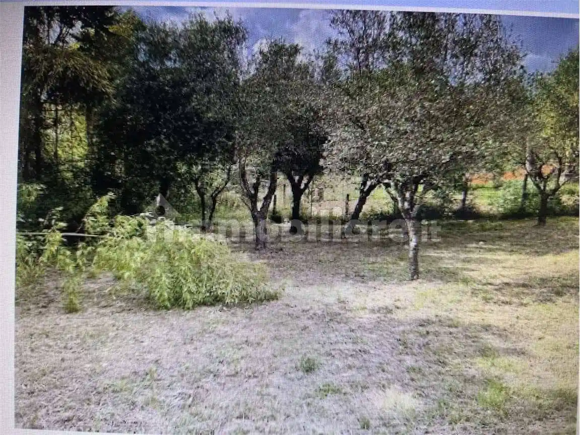 Appartamento all'asta via Arasciarra, SNC, Monte San Giovanni Campano - foto 3